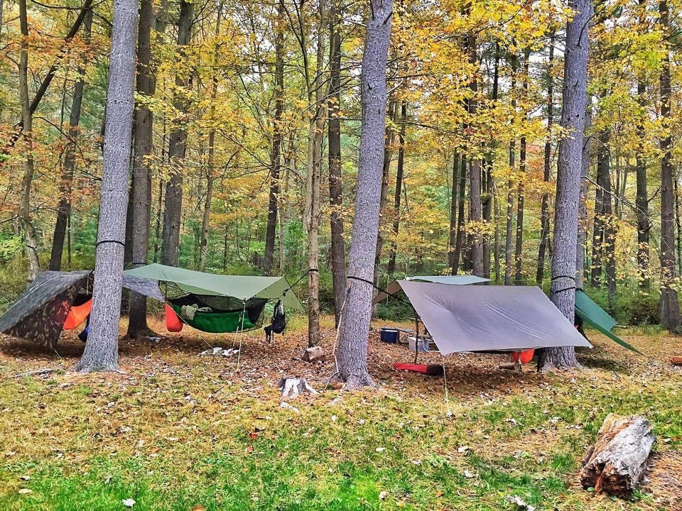 Jacks R Better hammock tarps and hammocks pitched at a golden fall forest campsite