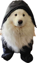 Jacks R Better 800 fill down hood shown worn for warmth